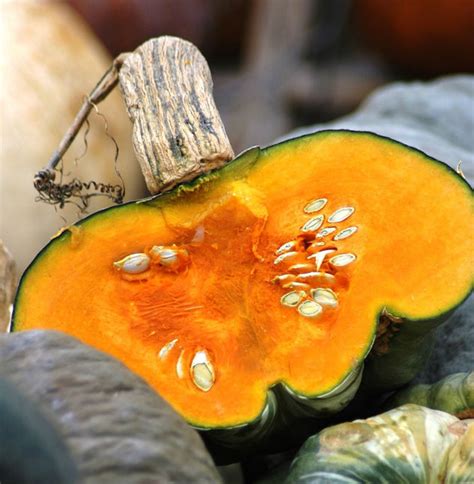 Deep Orange Vegetables Offer Health Benefits Food