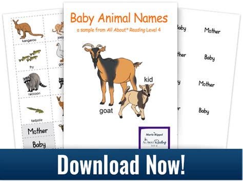 Baby Animal Names Free Downloadable Matching Activity