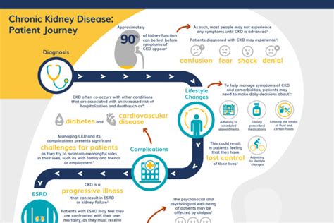 Chronic Kidney Disease Patient Journey Nephu