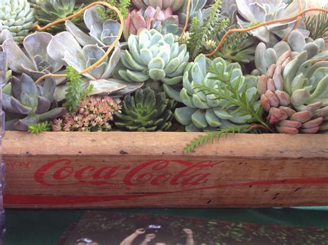 7 Simple Southern Sundays Vintage Coca Cola Crates Southern
