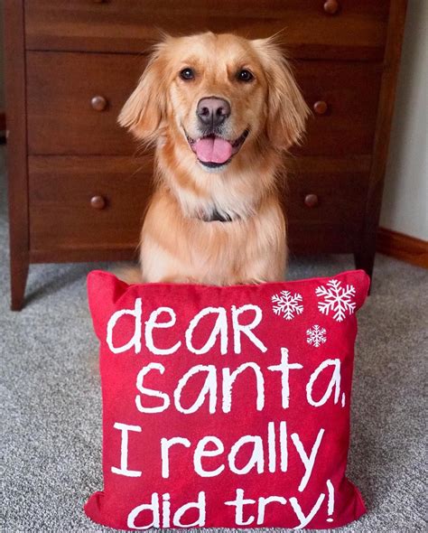 Christmas Golden Retriever Dog🐶☃️🎄 Christmas Dog Dog Ts Dog Antlers