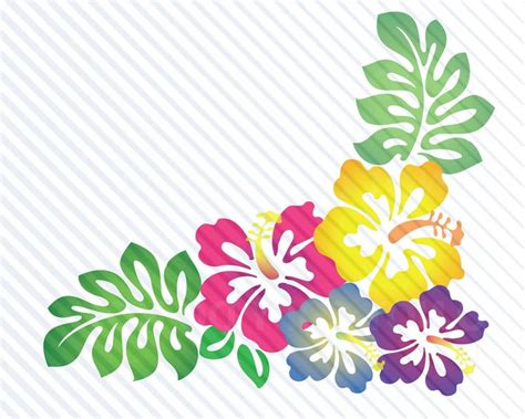 Hibiscus Flowers Svg Files For Cricut | Hibiscus flowers, Beautiful