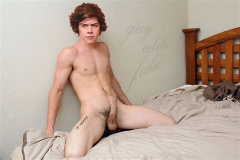 Harry Styles Posing Completely Naked Naked Male Celebrities