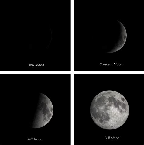 Science Activity Moon Phases We Share The Same Moon