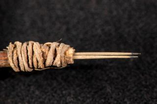 What to do after you remove cactus needles. Prickly Pear Cactus Needles Are Oldest Tattoo Tool in ...