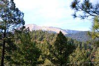 (1 days ago) feb 23, 2020 · we stayed at hummingbird cabins in the summer of 2017 and had a wonderful experience. Hummingbird Cabins (Ruidoso, NM) - Resort Reviews ...