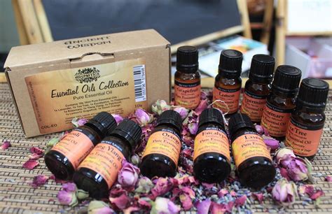 Collection Of Ten Essential Oils Essential Oils Ts Essential Oils Collection Aromatherapy
