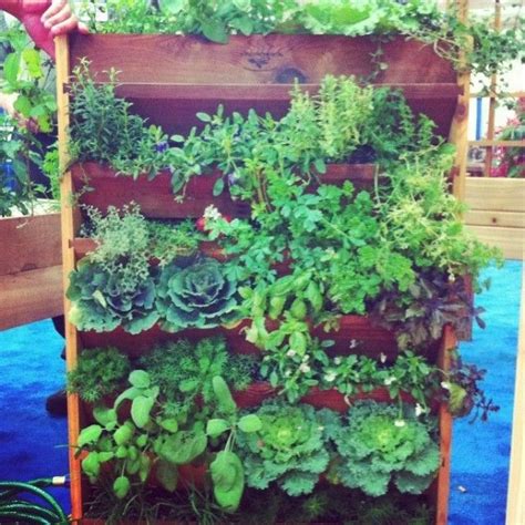 Vertical Gardens Can Be An Alternative To Insufficient Space In Your