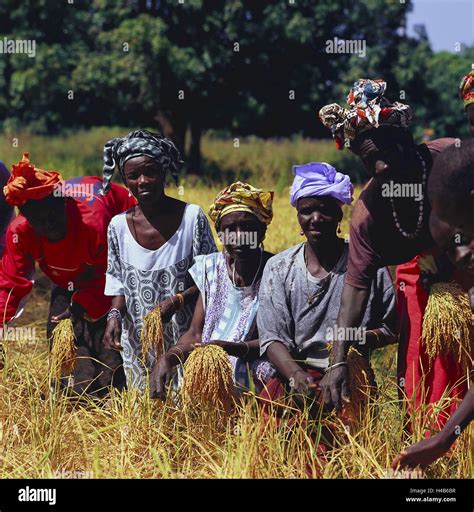 Upper Casamance Hi Res Stock Photography And Images Alamy