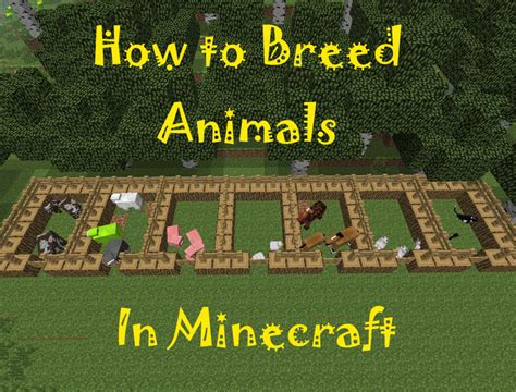 On this page of our minecraft guide, you will find information on how to tame a dog or a cat. How to Breed Animals in Minecraft