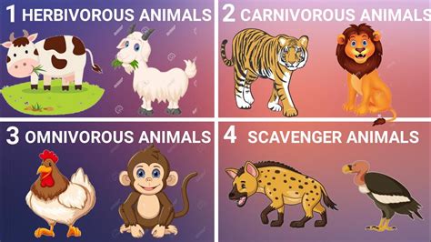 Types Of Animals Herbivorous Carnivorous Omnivorous And Scavenger