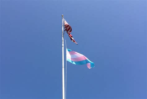The pink and blue represent women and. St. Louis flies transgender flag at city hall - The ...