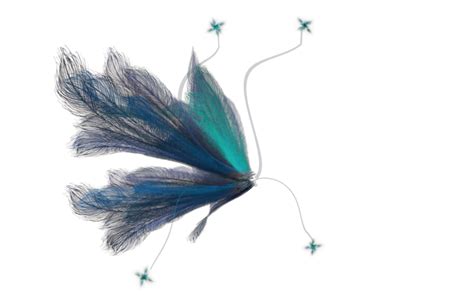 Pin amazing png images that you like. Fairy Wing (26) by wolverine041269 | Fairy wings, Wings, Fairy