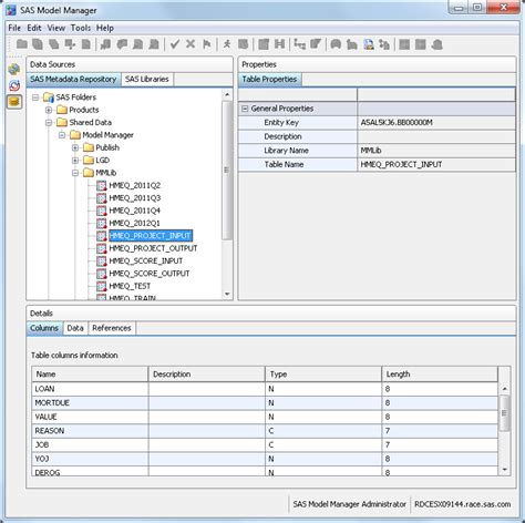 Verify Accessibility Of Data Tables In Sas Model Manager Sasr