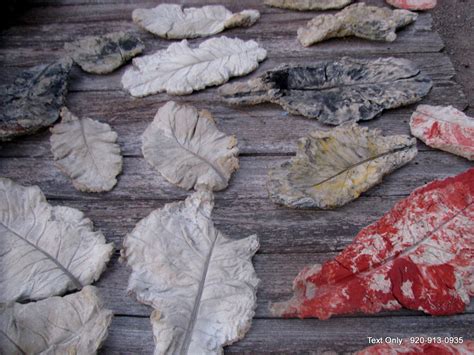 20 new photos of my cement leaves https://www.facebook.com/media/set