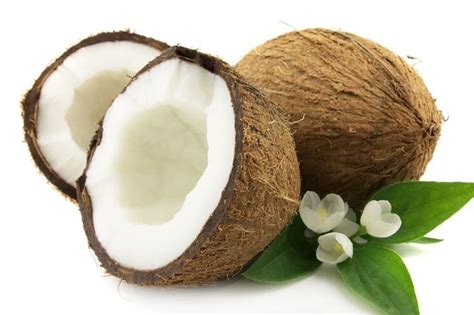 Coconut Alchetron The Free Social Encyclopedia