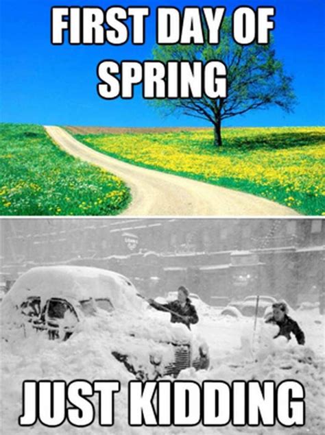 Spring First Day Of Spring Weather Memes Funny Meme Pictures