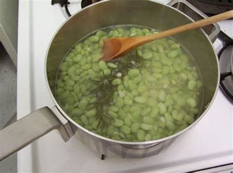 Son unas habas aliñadas con poleo verde. ¿Cómo cocinar las habas?