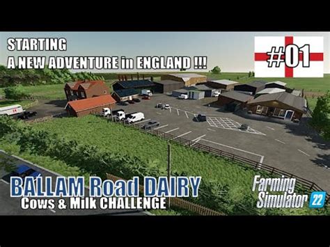Starting A New Adventure In England Ballam Rd Dairy Cows