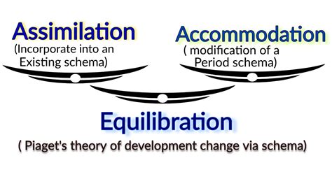Piaget S Theories Stages Of Cognitive Development Wide Education