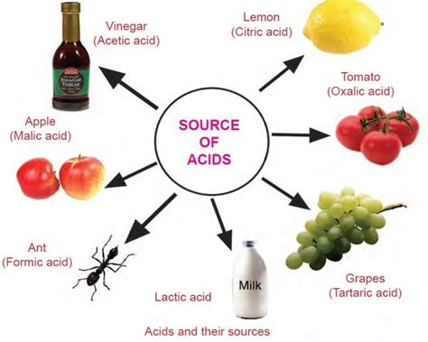 Alcohols Organic Acids Wall Chart Science Chart Both Side Hard