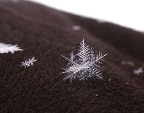 Unique And Beautiful Snowflakes 49 Pics 結晶 雪の結晶 雪