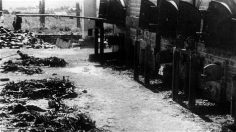 Liberación de Auschwitz la dramática historia de los Sonderkommandos