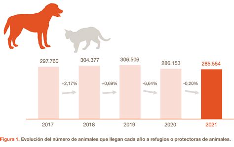 Las Cifras Del Abandono De Perros Y Gatos Aún Lejos De Descender