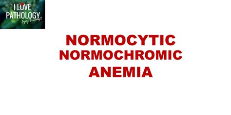 Normocytic Normochromic Anemia Pathology Made Simple