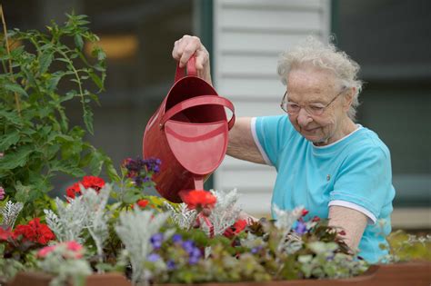 3 Easy Gardening Projects For Aging Loved Ones