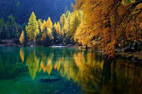Hd Wallpaper Autumn Forest Trees Lake Reflection Wallpaper Flare