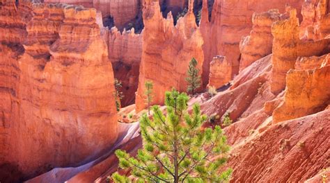 Reisetipps Bryce Canyon 2023 Das Beste In Bryce Canyon Entdecken Expedia
