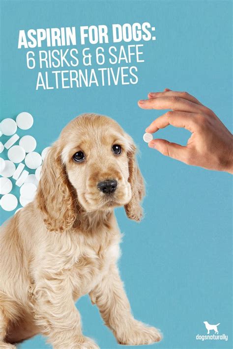 Buffered Aspirin For Dogs Dosage Chart