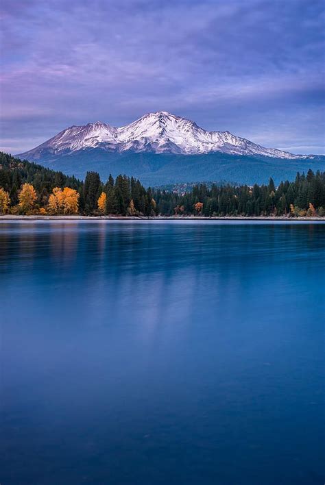 More on california free food banks. Mount Shasta at Dusk by Greg Nyquist in 2021 | Mount ...