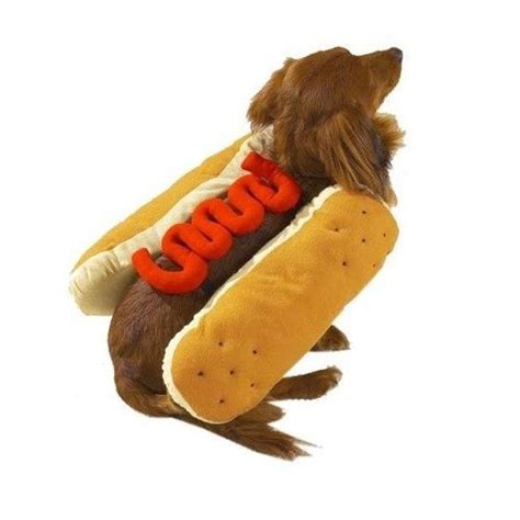 Hot Diggity Dog Ketchup And Mustard Costume