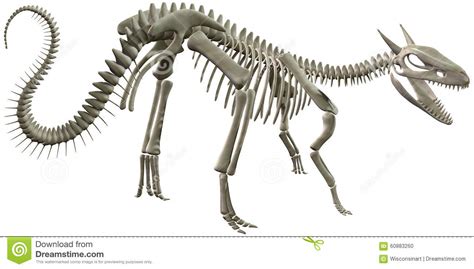 And it's a valid one: Dinosaur Bones Skeleton Illustration Isolated Stock Photo - Image: 60883260