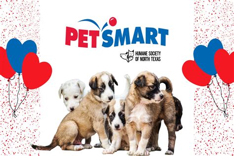 PetSmart Adoption Event at Montgomery Plaza | HSNT