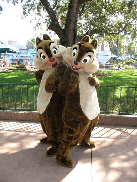 Pin On Chip And Dale