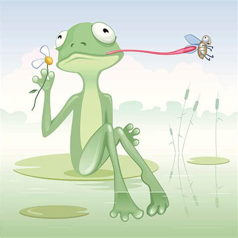 Clip Art Of Frogs Eating Flies Stock Photos Pictures And Royalty Free