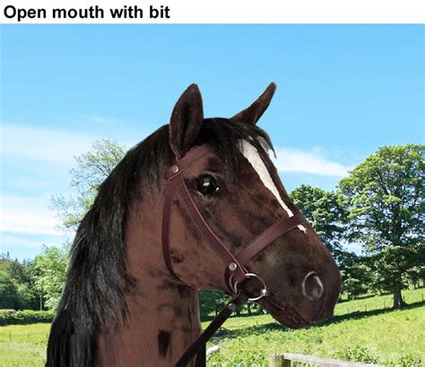 I lost my mother when i was young, she left me and my dad to live together with each other. Hobby Horse, My Riding Pony, Model Ponies, Equestrian Toys ...