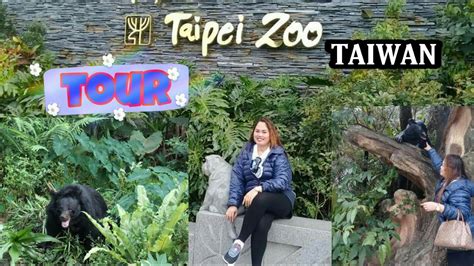Taiwan Tourtaipei Zoo Youtube