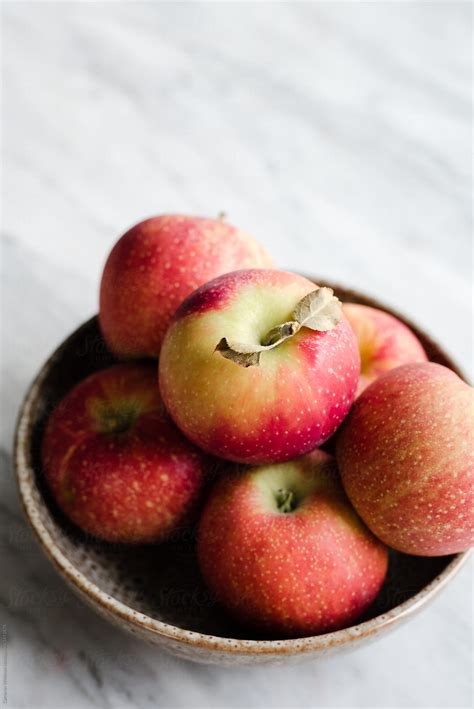 Freshly Picked Gala Apples In A Bowl By Stocksy Contributor Cameron