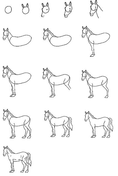 Kako Nacrtati Konja 4 Koraka 2021