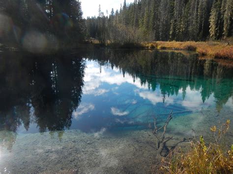 Hood national forest, and can be considered one of the best summer camping spots in the area. Annual Timothy Lake Hike - ON & OFF RHODES