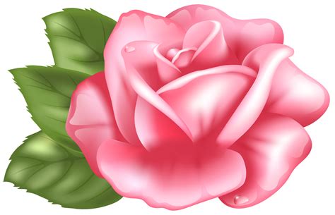 Pink Rose Clipart Clipart Best