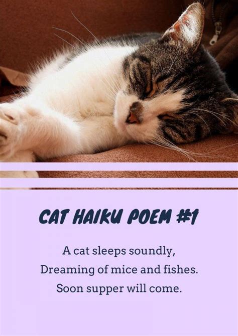 más de 16 poemas de gato para que los niños lean imagine imagine forest flonchi