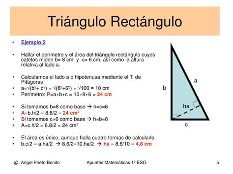 Area Y Perimetro De Un Triangulo Rectangulo Ejemplos Nuevo Ejemplo