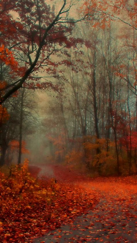 Romantic Autumn Iphone Wallpapers Free Download