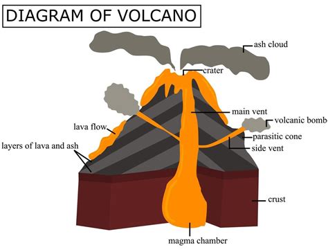 A Diagram Of A Volcanocross Section Of A Volcanoillustration For