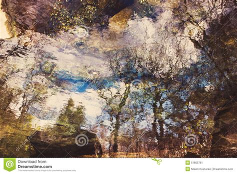 Abstract Trees Reflection On Rippled Water Stock Image